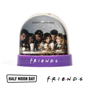 SGFDS01 Snow Globe - Friends